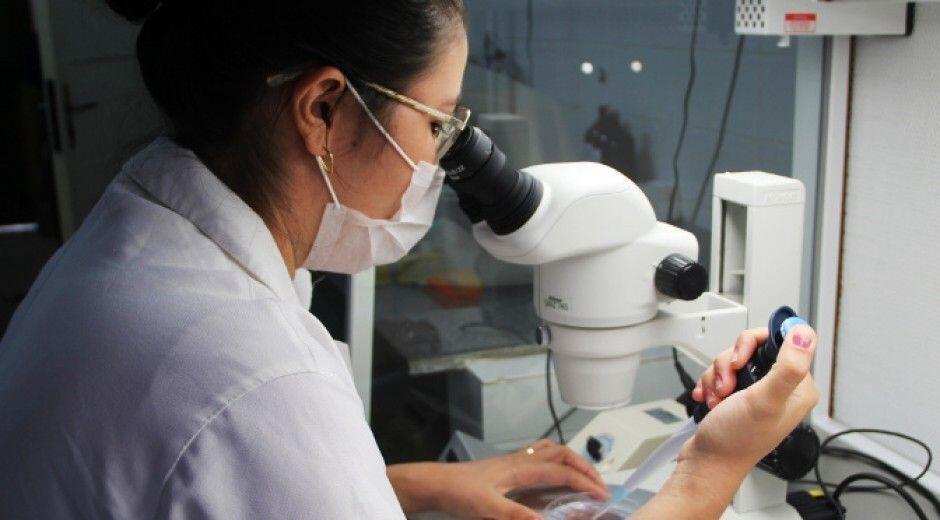 Teste de DNA-HPV no SUS: saiba como funciona o novo exame para prevenção do câncer de colo do útero 82 13 pesquisadores desenvolvem exame de sangue que detecta alzheimer Foto internet