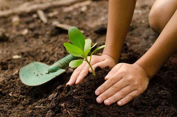 Rotary Club inicia Cuiabá: Desigualdade e falta de áreas verdes afetam principalmente crianças negras e em escolas públicas