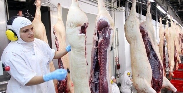 Exportações de carne suína recuam em março, mas ano segue positivo