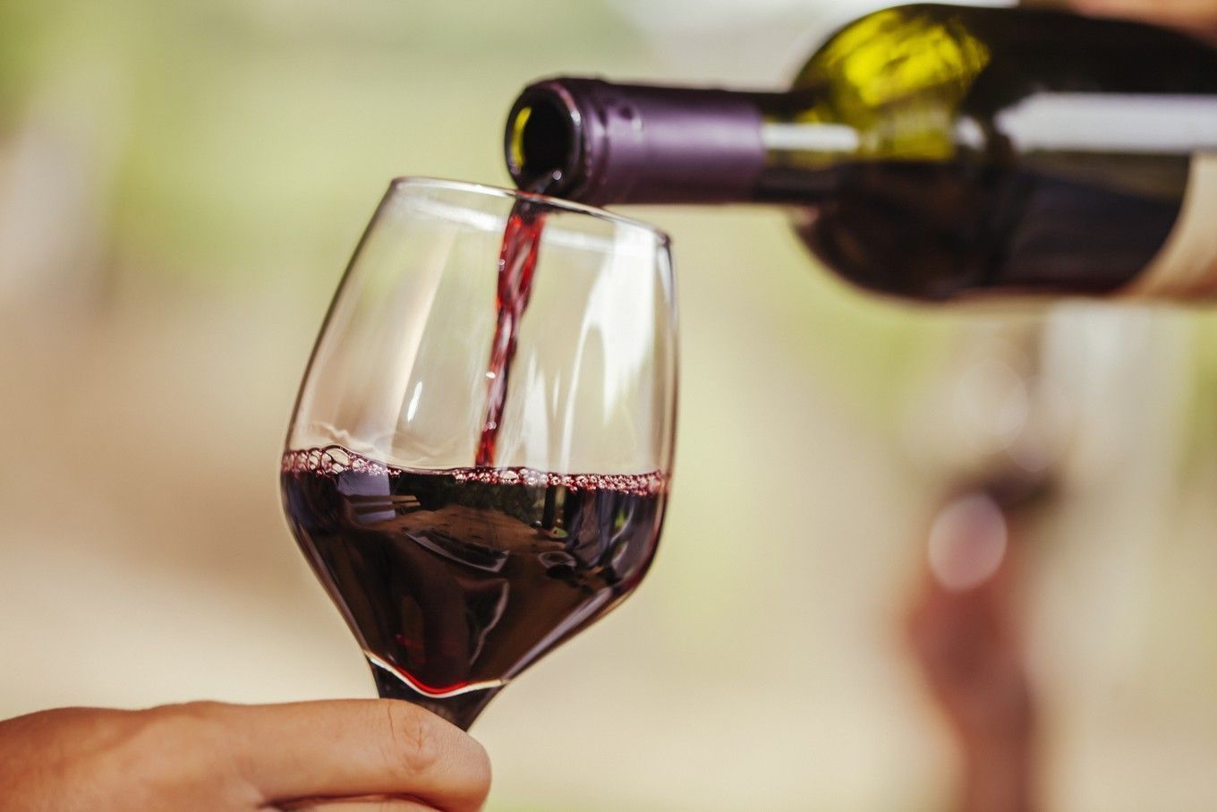 vinho