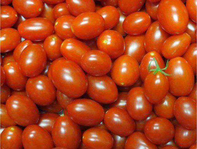 TOMATE 1
