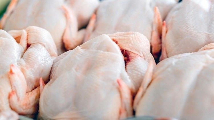 Brazilian poultry rejected by European markets wrbm large 1