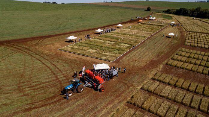 Foto_01_-_Dia_de_Campo_Biotrigo_3-696x391