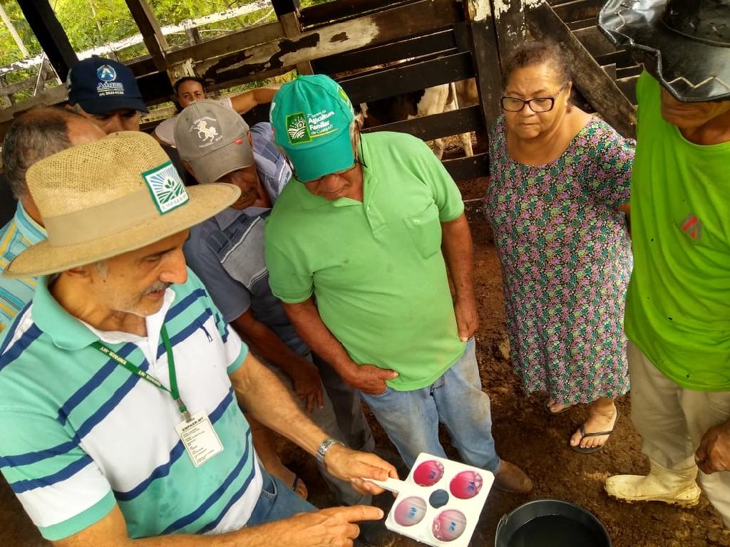 demonstracao de metodos ensina agricultores a prevenir doencas no rebanho leiteiro 5c670fb675b69