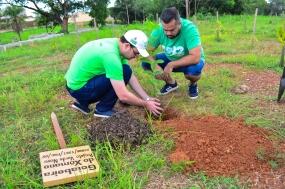 mais de 800 mudas de especies nativas sao plantadas e distribuidas na morada do ouro 5c589b9425dd0