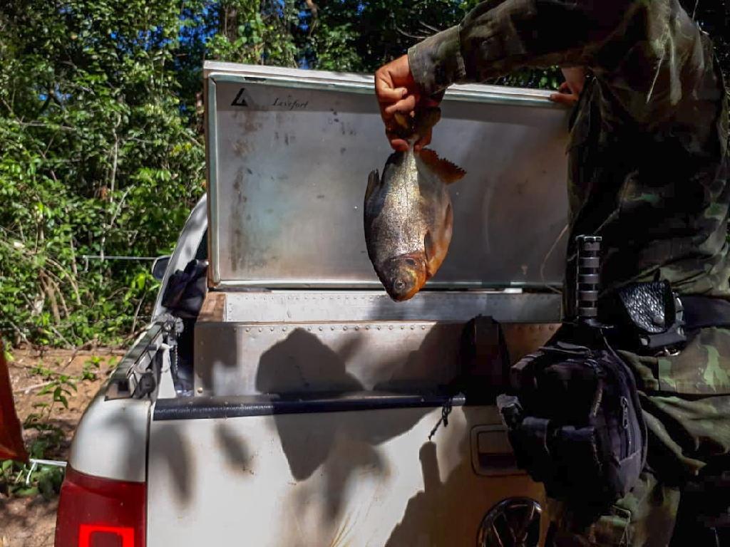 sema apreende 293 kg de pescado e armas no rio itiquira 5c7449fba3970