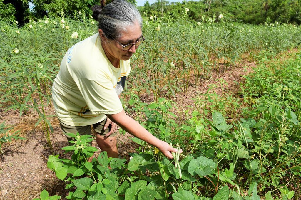 estado investe r 48 milhoes em sistema de abastecimento de agua 5c9f6b443bcb5