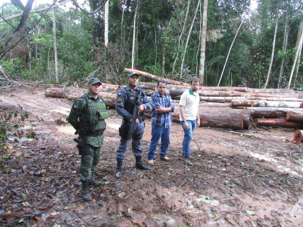 madeira de exploracao ilegal e doada a prefeitura 5c826f8cbb997