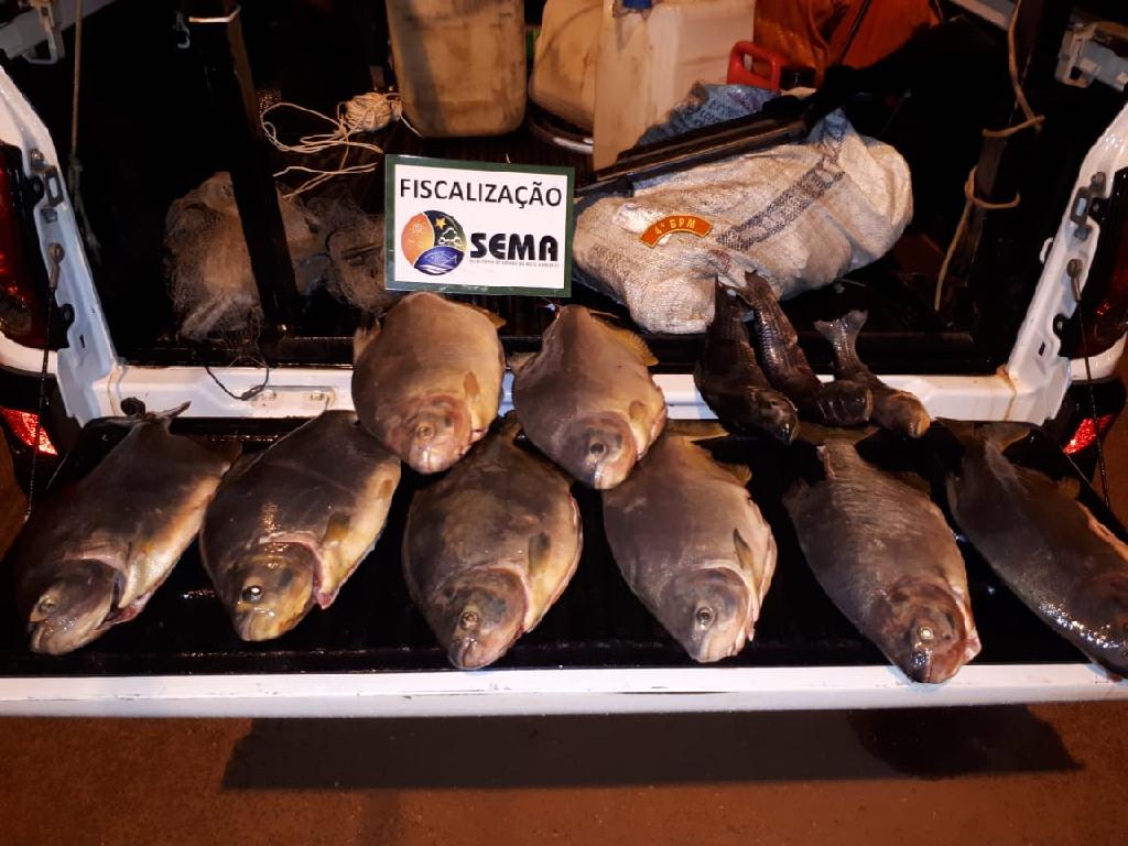 sema apreende pescado irregular e espingarda em pocone 5c8aa3fe3c15d