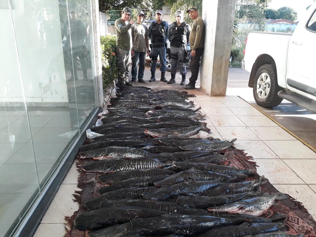 200 Kg de pintado e Cachara são apreendidos em Santo Antônio de Leverger 2