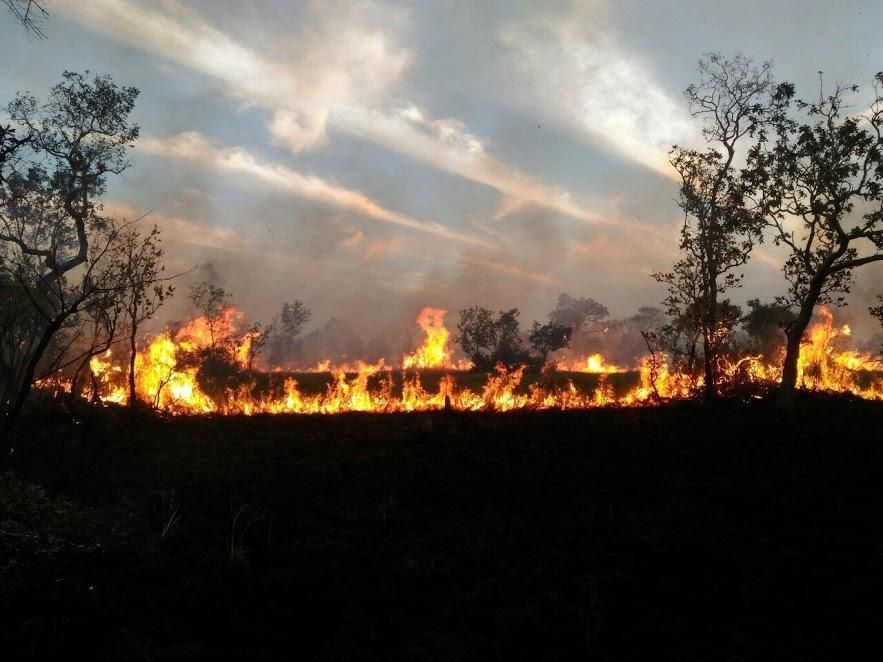 Bombeiros combatem incêndio florestal na maior RPPN do Brasil