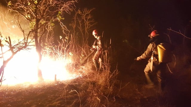 bombeiros militares combatem dia e noite incendios florestais