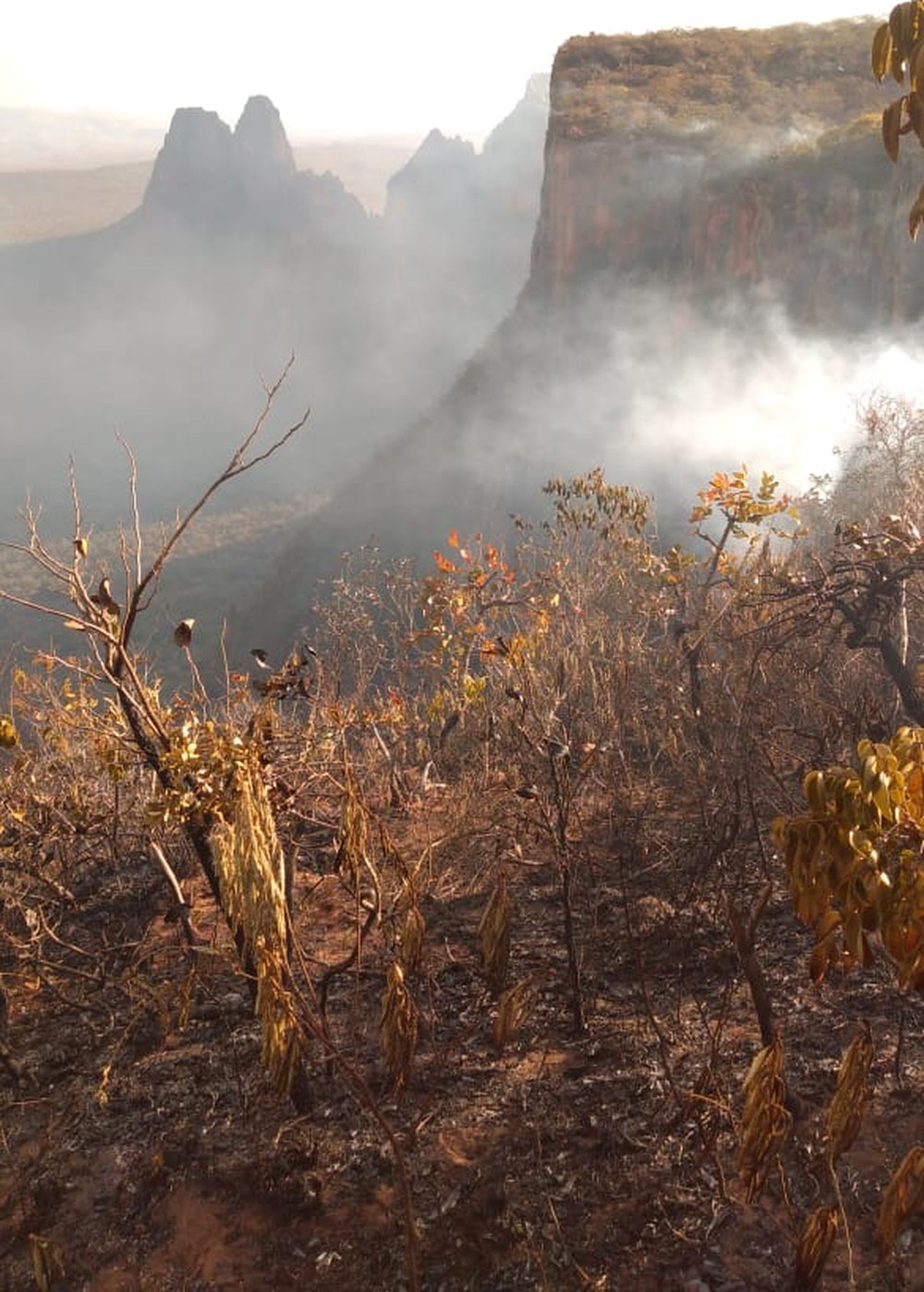 Incêndio destrói quase 7 mil hectares em Chapada dos Guimarães 82 whatsapp image 2019 08 13 at 18.03.21