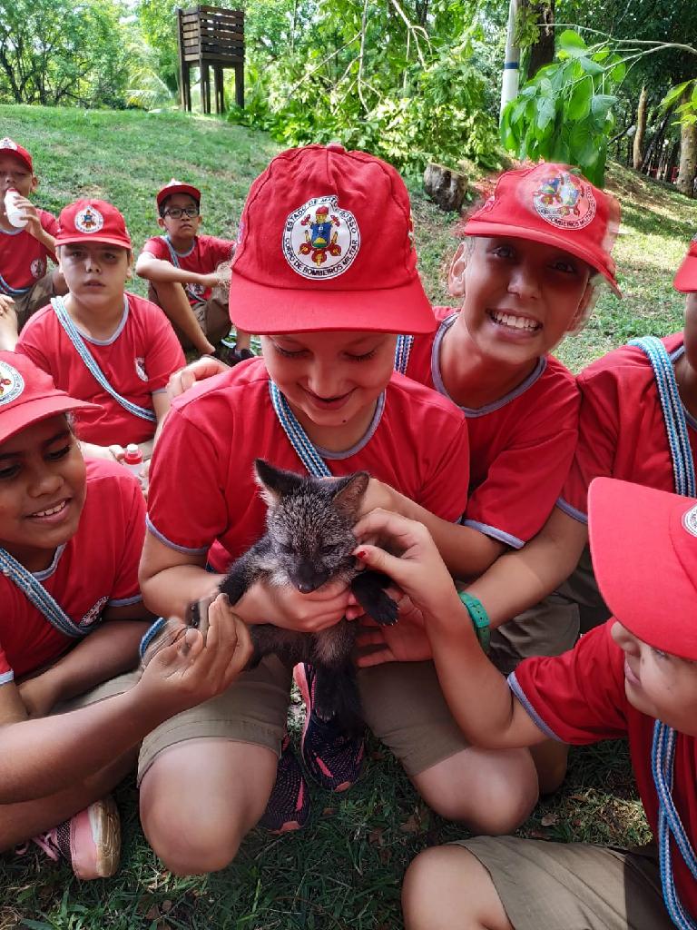 Bombeiros do futuro conhecem filhote de lobinho