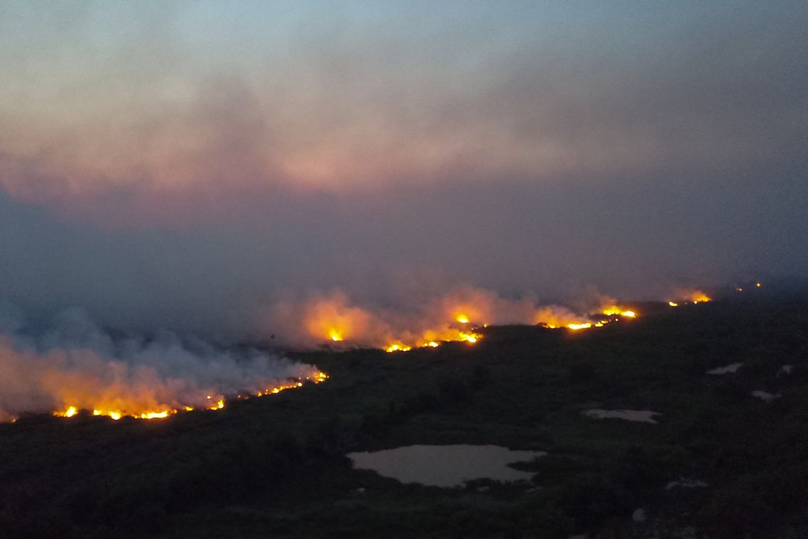 governo sul mato grossense reforca combate a incendio no pantanal 5dc095eda7ff8
