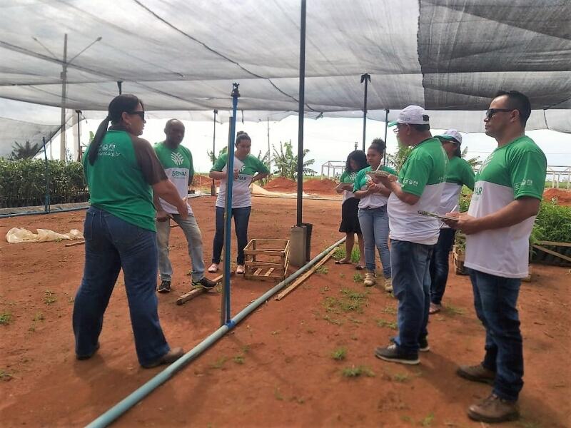 horto municipal promove ultimo curso de producao de mudas de 2019 5dde8f6d192ec