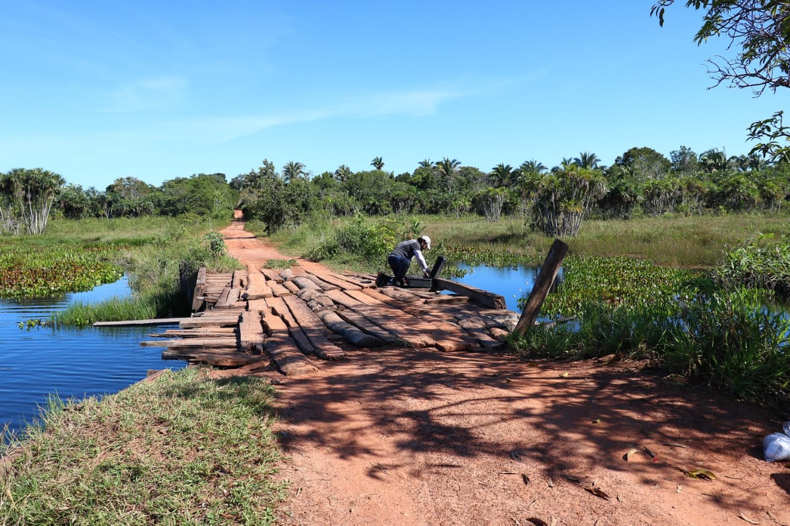 Invasão de tucunaré no Rio Paraguai após possível rompimento de represas preocupa pesquisadores 83 whatsapp image 2019 11 22 at 15.09.49