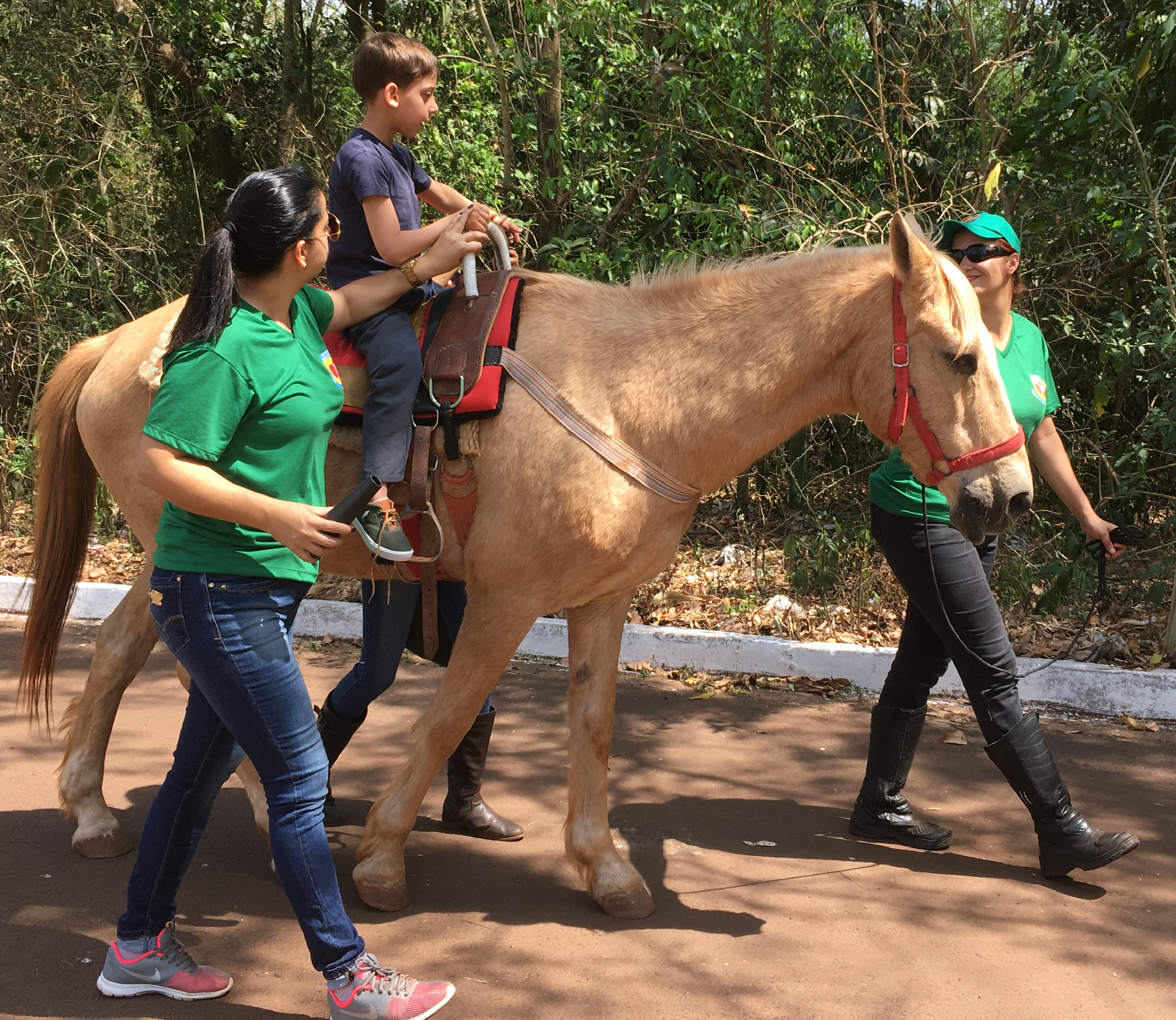 guia de transporte animal tera custo zero as apaes em mt 5de830d488819