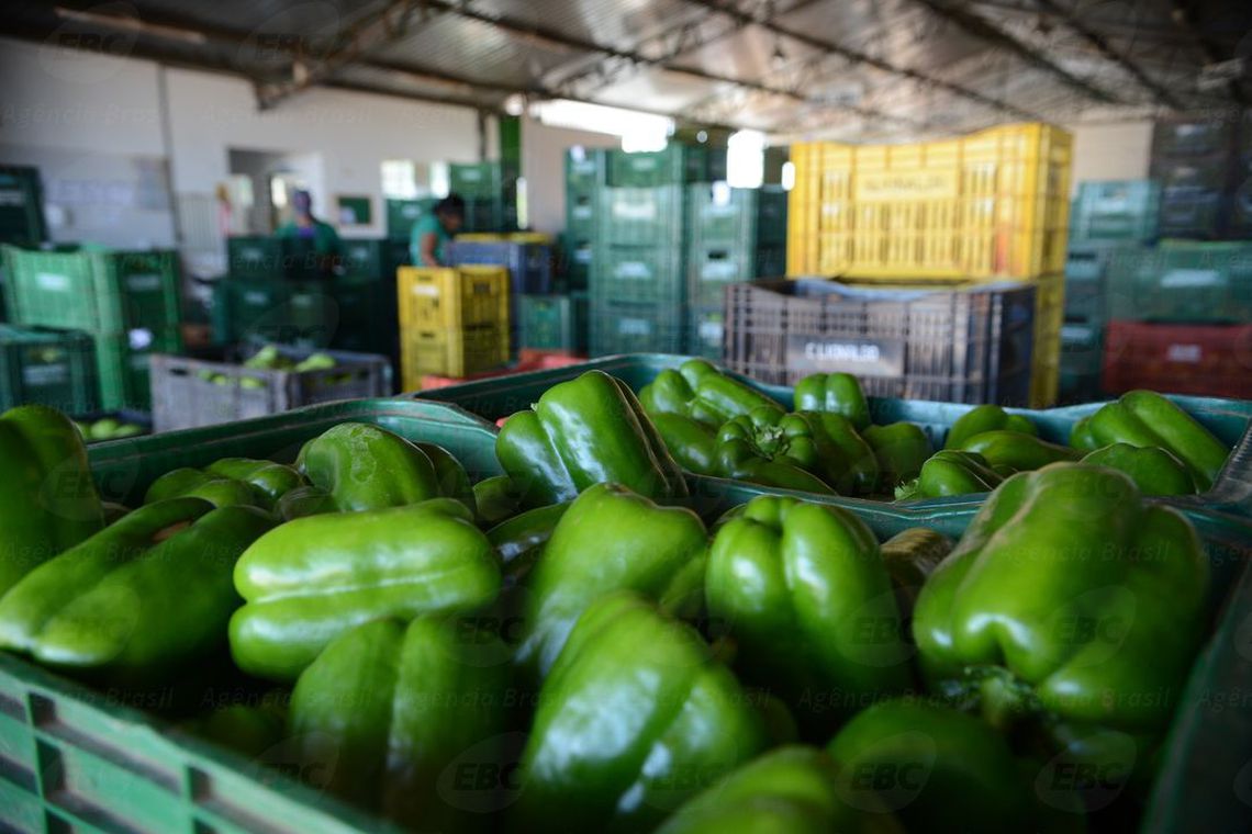 maioria dos vegetais e segura para consumo 8 tem irregularidades 5df814078d05e