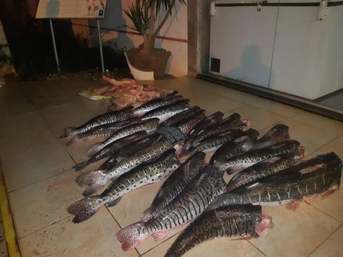 whatsapp-image-2019-12-13-at-08.22.30 PESCADO IRREGULAR