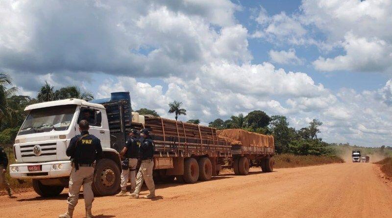 MT operação juruena 3