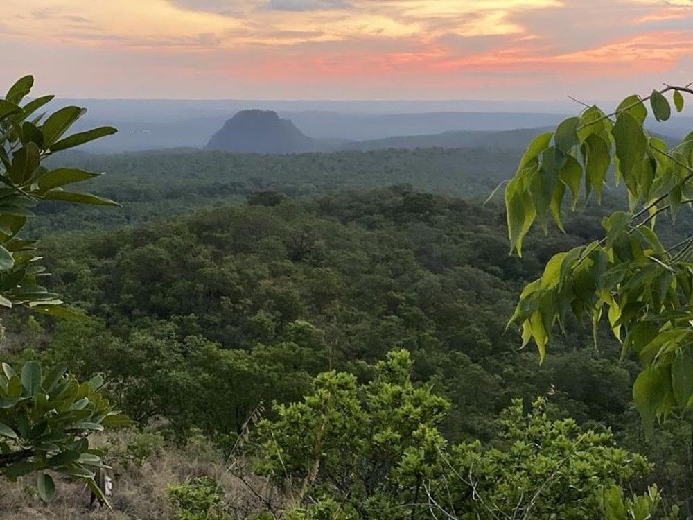 Santuário anuncia chegada de nova elefanta em Chapada dos Guimarães (MT) 2 santua.jpga