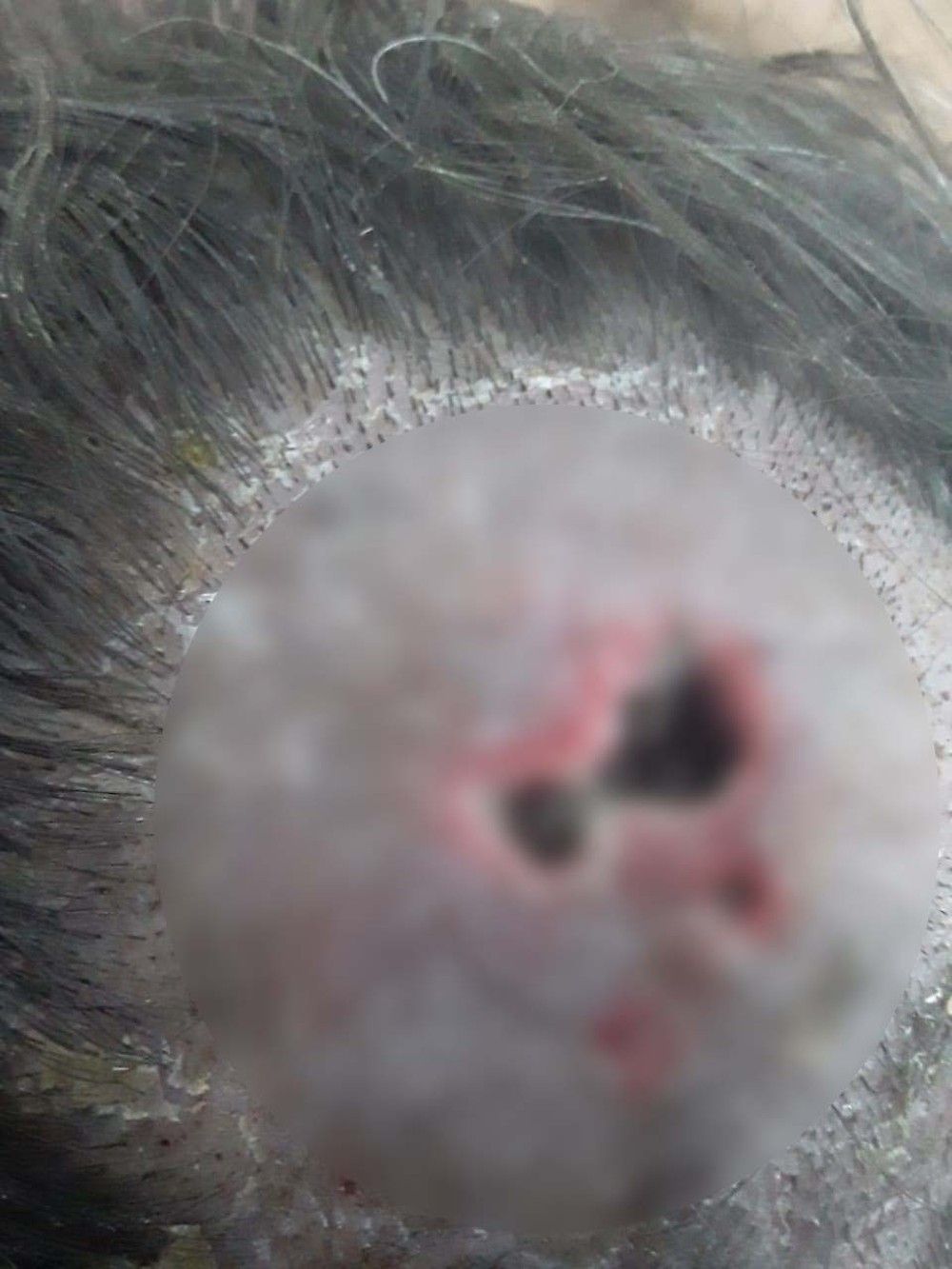 1 1