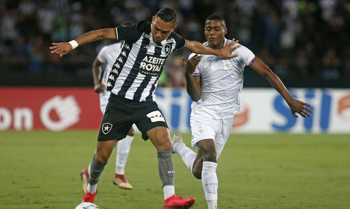 botafogo parana copa brasil luiz fernando