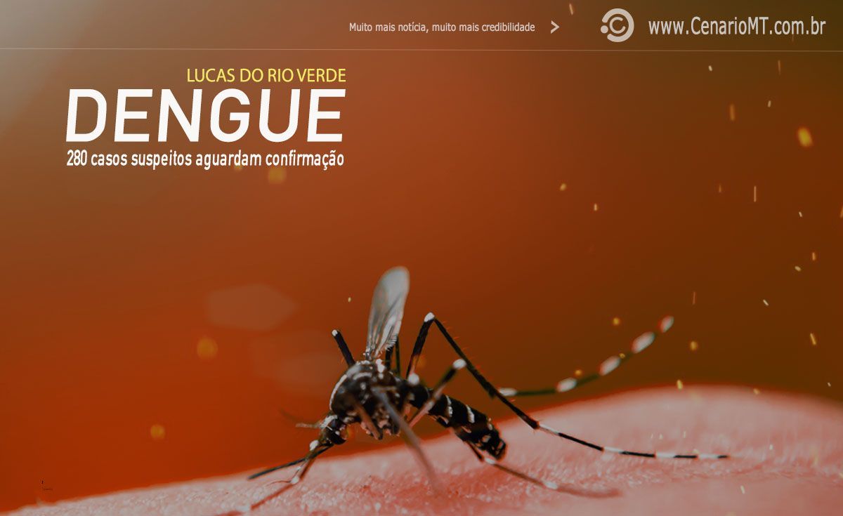 dengue lucas