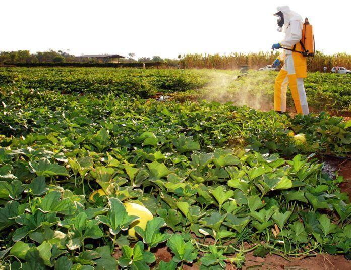 001-Uso de agrotoxico - Foto-Lenito Abreu