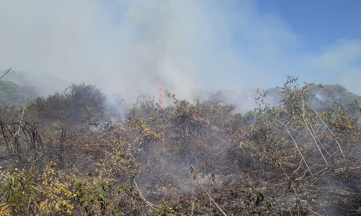 fogo no pantanal