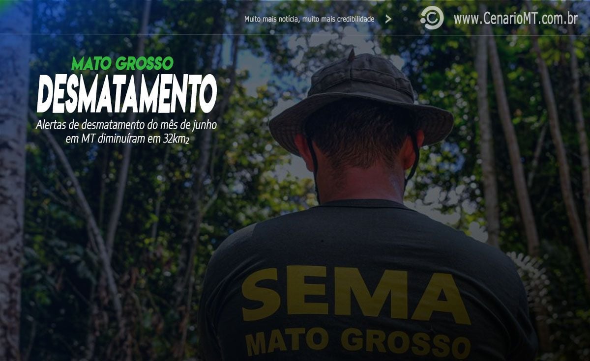 DESMATAMENTO EM MATO GROSSO