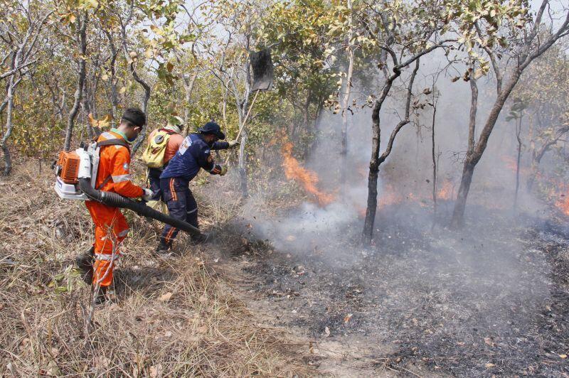 Defesa Civil de Cuiabá garante que fogo na Estrada da Guia não volte a se alastrar 2020 08 14 09:50:57