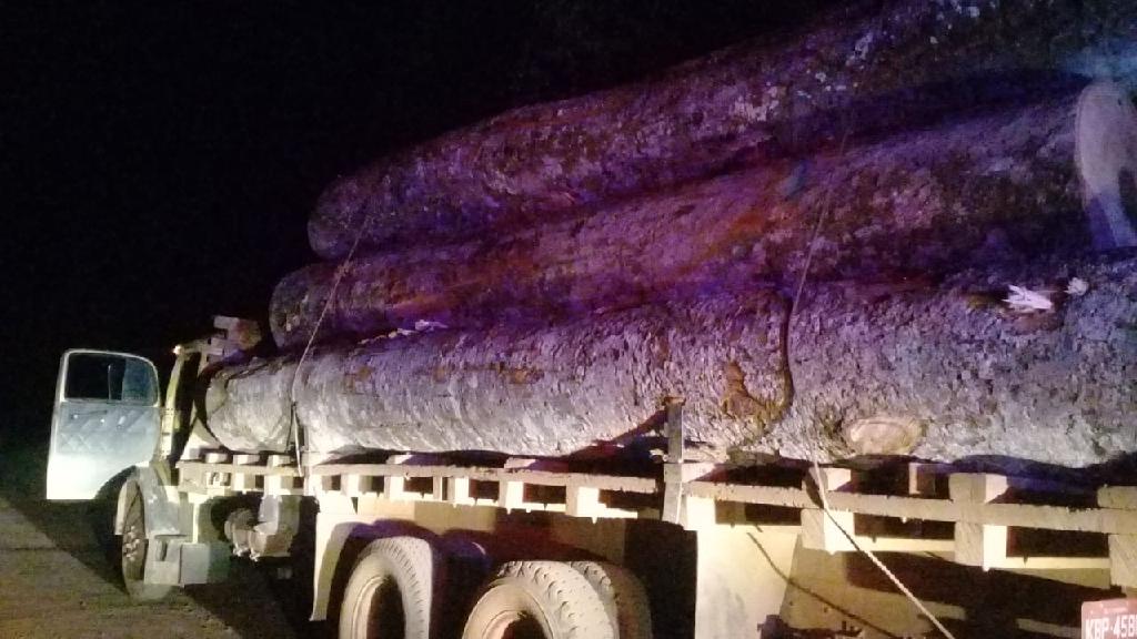 Patrulha rural flagra suspeito transportando madeira ilegal em Santa Cruz do Xingu 2020 08 26 15:41:50