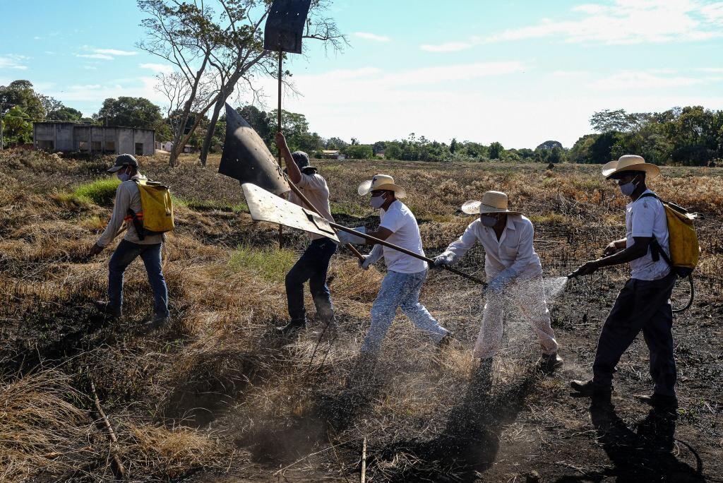 Recuperandos começam a atuar no combate às chamas na zona urbana de Poconé 2020 08 15 16:20:16