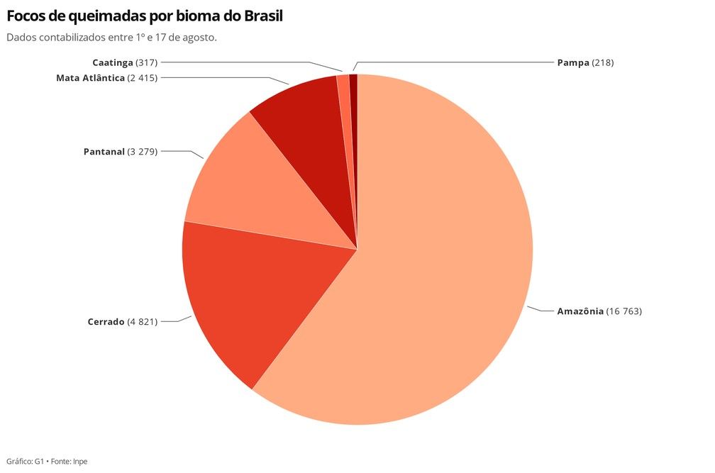 zlf4v focos de queimadas por bioma do brasil