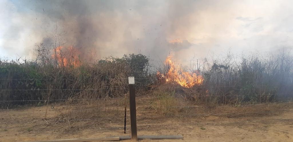 Bombeiros militares realizam prisão em flagrante por crime ambiental2020 09 29 02:30:03