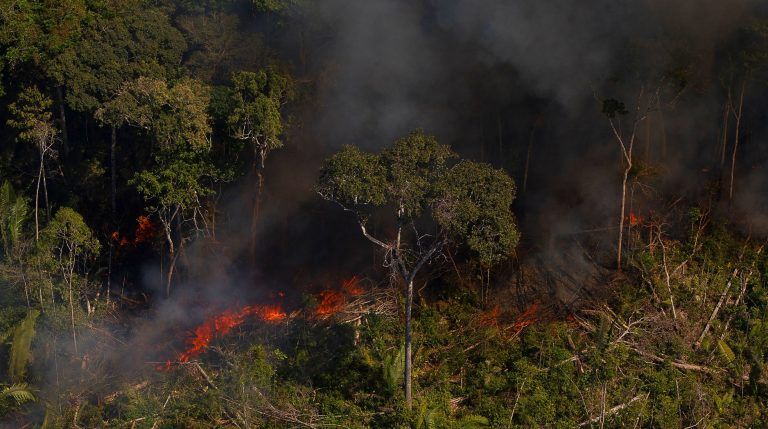 Cientistas e deputados sugerem medidas emergenciais e preventivas para o combate aos incêndios florestais 2020 09 17 01:45:45