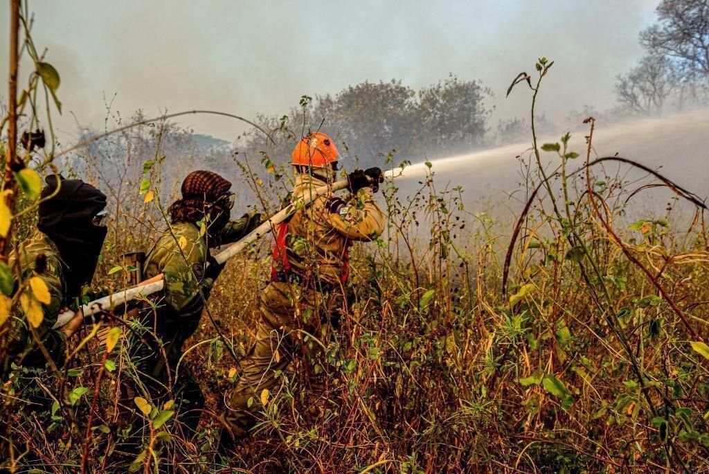 Corpo de Bombeiros intensifica ações de combate ao fogo no Parque Encontro das Águas 2020 09 08 13:35:08