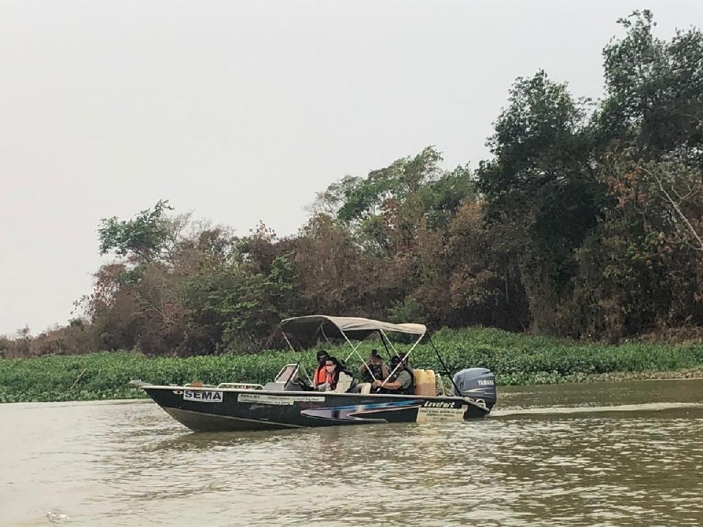 Equipes de fiscalização e resgate patrulham rios do Pantanal em busca de animais feridos2020 09 21 12:36:55