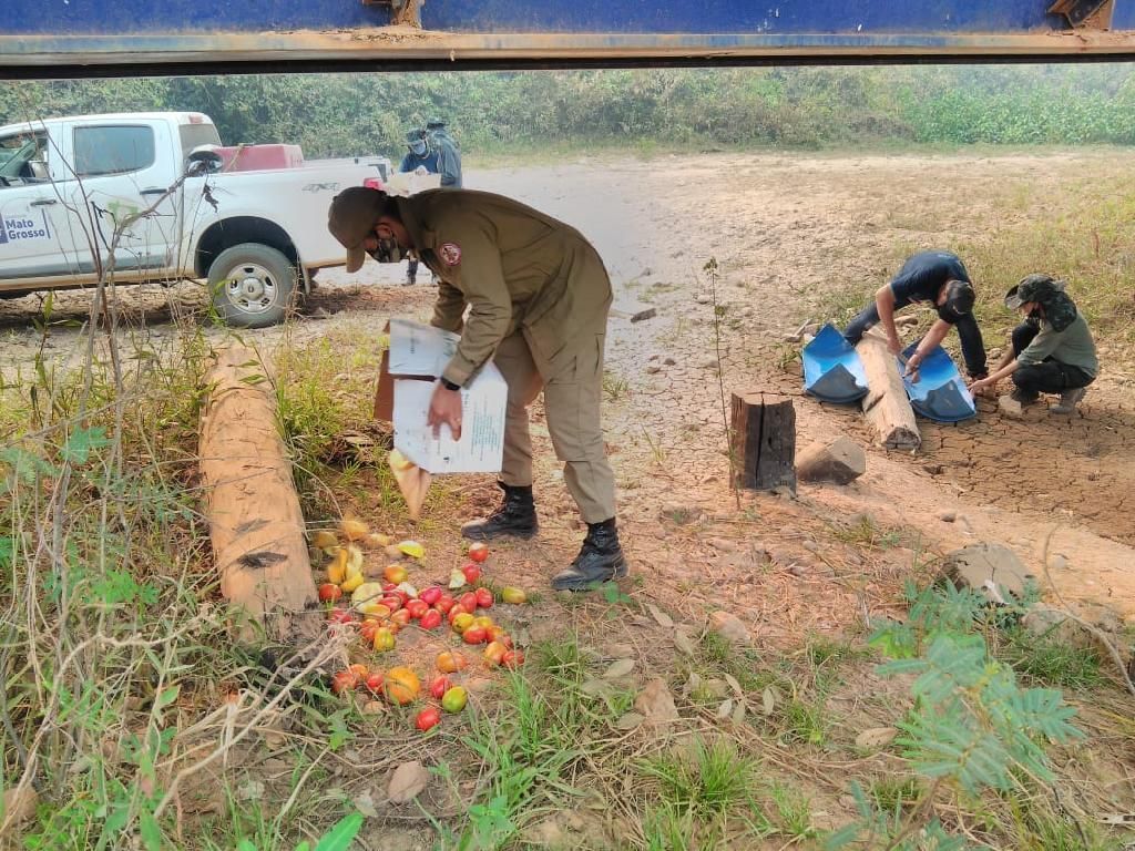Força tarefa distribui alimentos e água para animais do Pantanal 2020 09 04 19:45:09