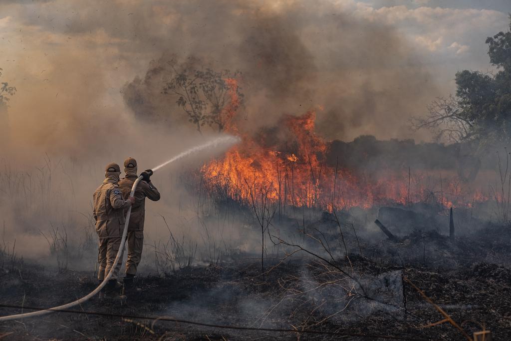 Aumento alarmante de incêndios em Mato Grosso preocupa especialistas