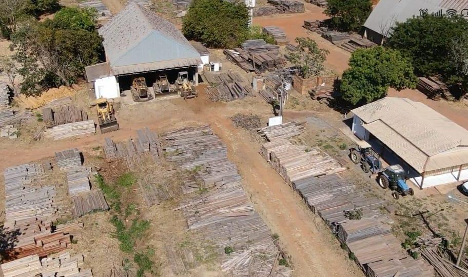 Juizado Volante Ambiental realiza leilão de madeiras apreendidas 2020 09 01 19:35:49