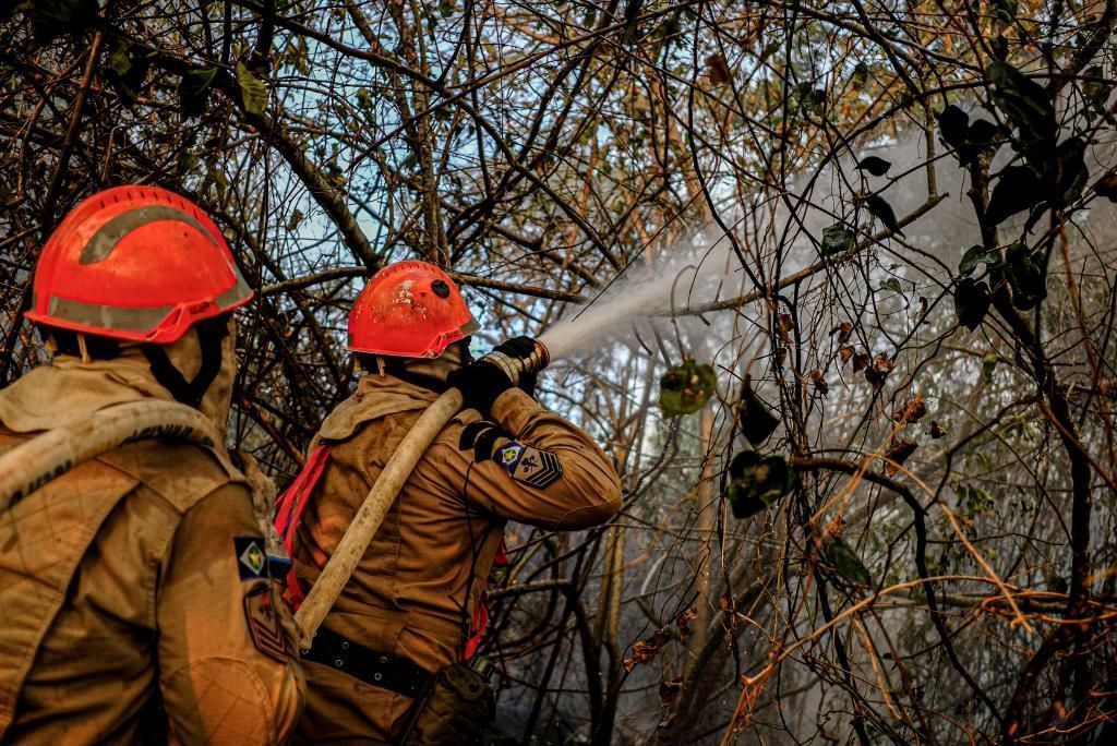 Mato Grosso receberá 43 militares da Força Nacional para combate aos incêndios florestais2020 09 21 22:43:00