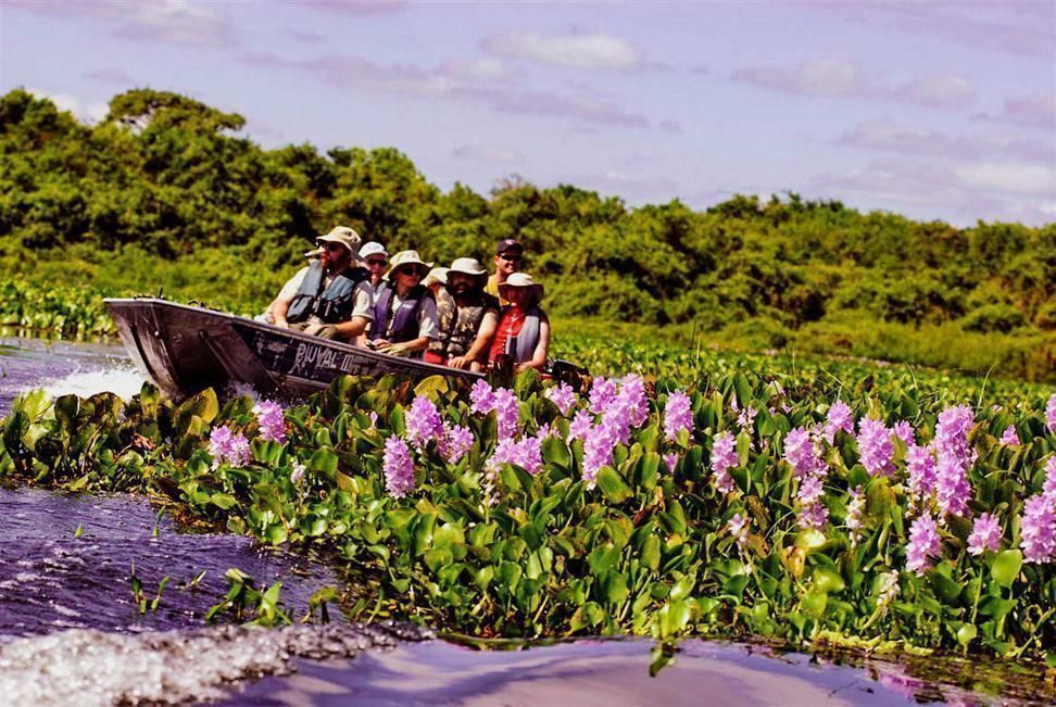 Pantanal de MT: com 80 do bioma preservado turistas buscam belezas da região2020 09 27 18:05:14