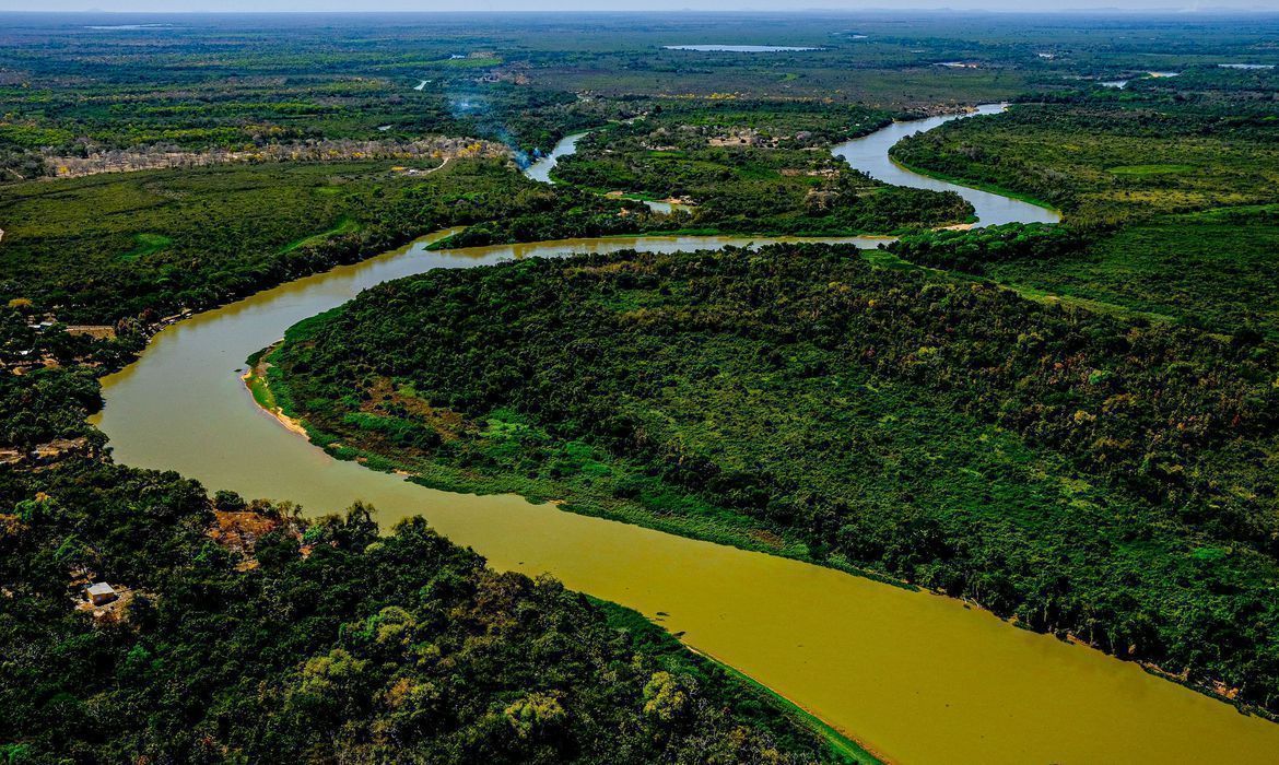 Perícia afirma que incêndio no Pantanal mato grossense foi intencional