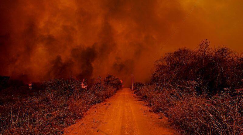 incendios no pantanal podem ter sido provocados por cinco fazendeiros foto Mayke Toscano Secom MT