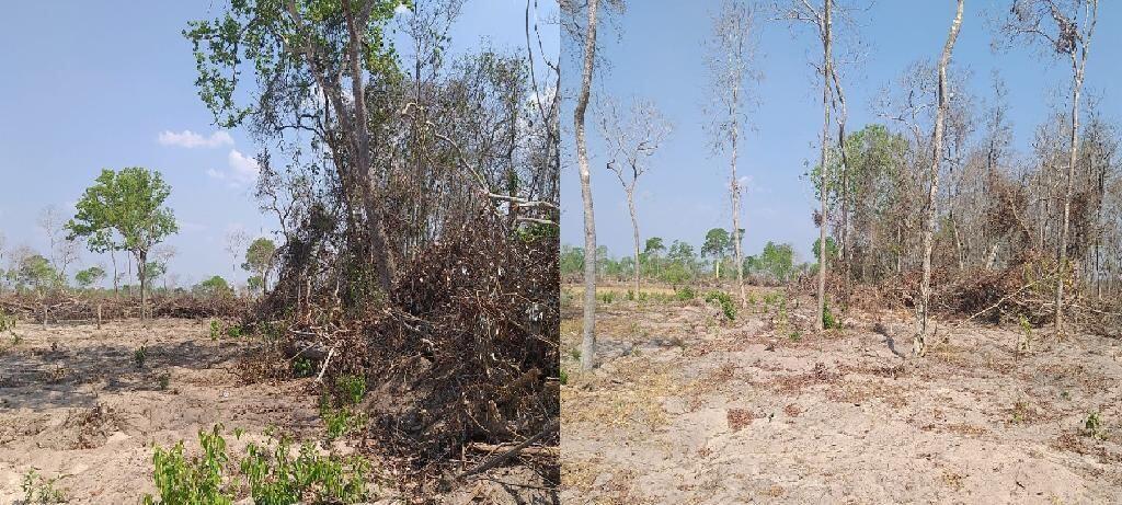 Batalhão Ambiental é acionado e encontra área desmatada em Cáceres 2020 10 18 13:20:01