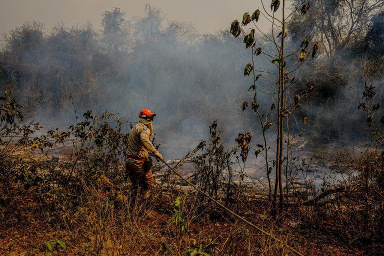 Comissão externa ouve setores afetados por queimadas no Pantanal 2020 10 07 11:15:14