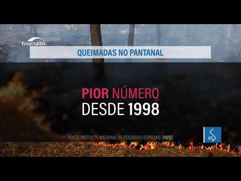 Vídeo: Aprovada proposta que prevê uso de aviões agrícolas para combater incêndios florestais 2020 10 03 12:29:06